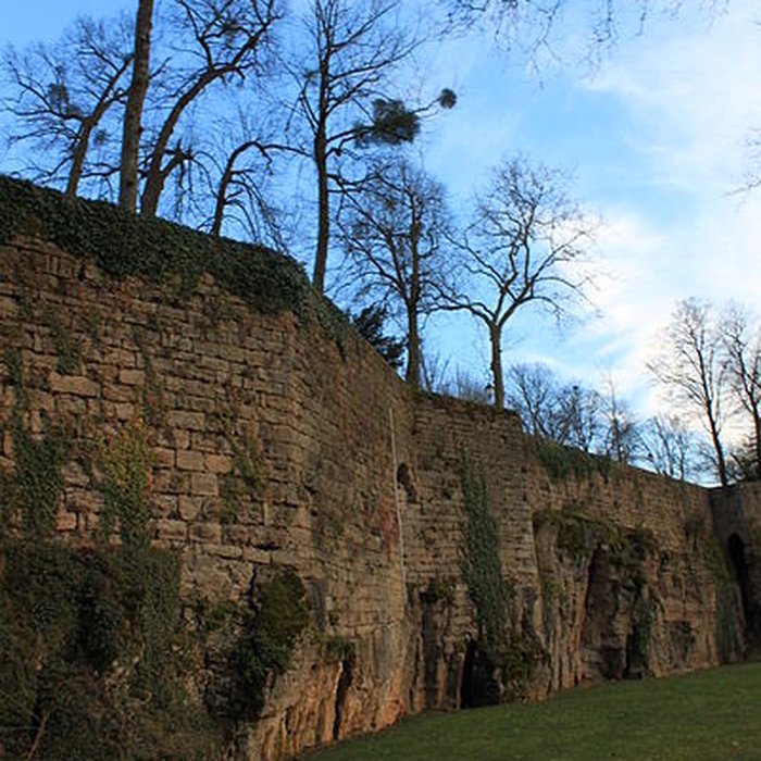 Photo de Château de Montbard