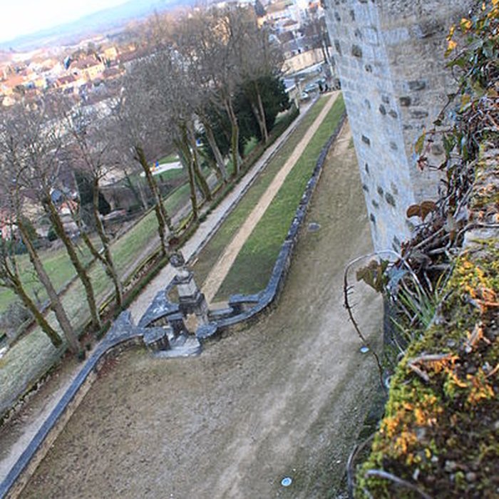 Photo de Château de Montbard