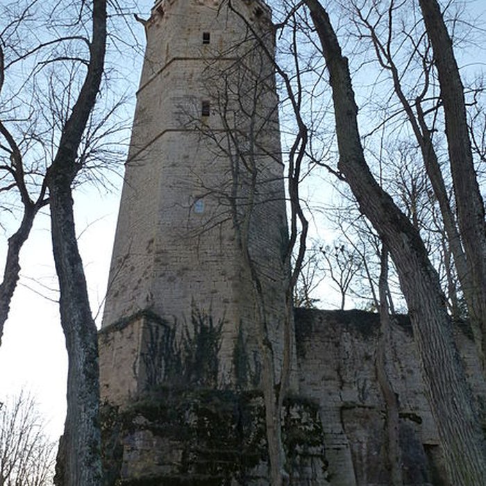 Photo de Château de Montbard