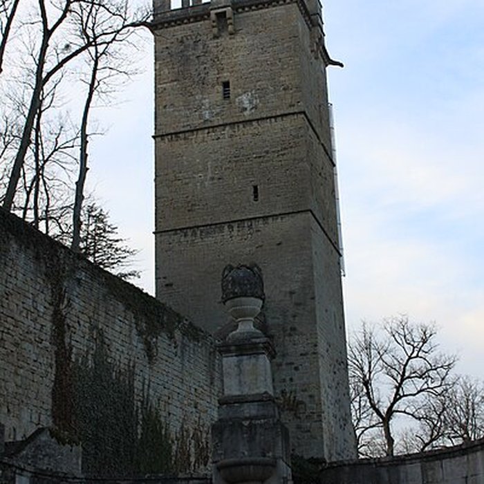 Photo de Château de Montbard