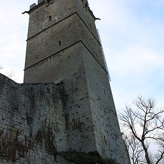 Photo de Château de Montbard