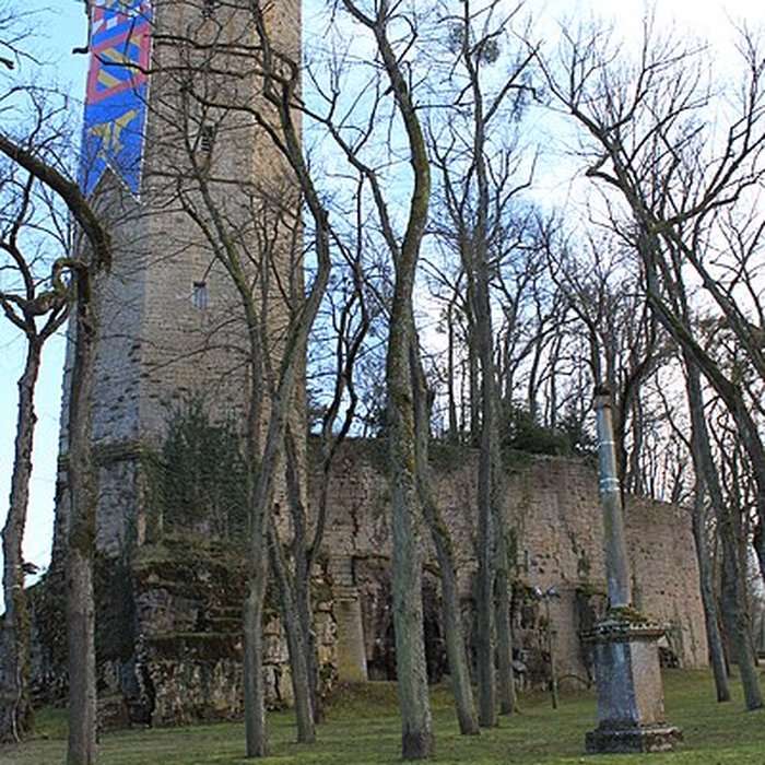Photo de Château de Montbard