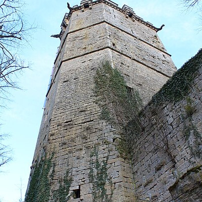Photo de Château de Montbard