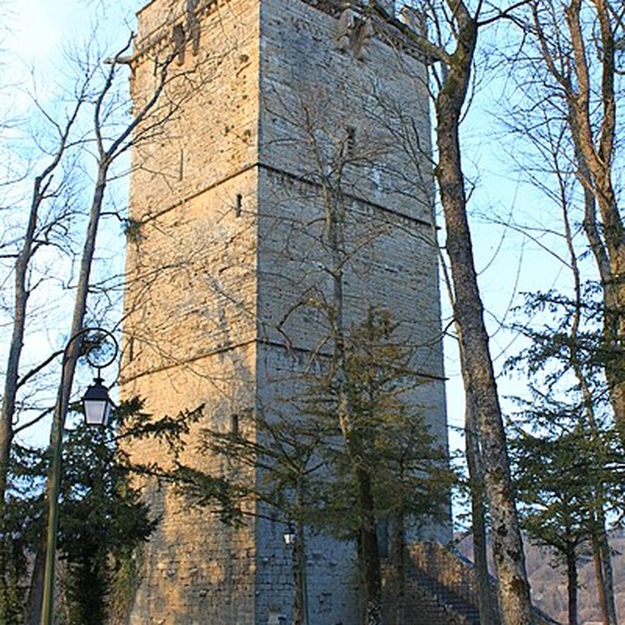 Photo de Château de Montbard