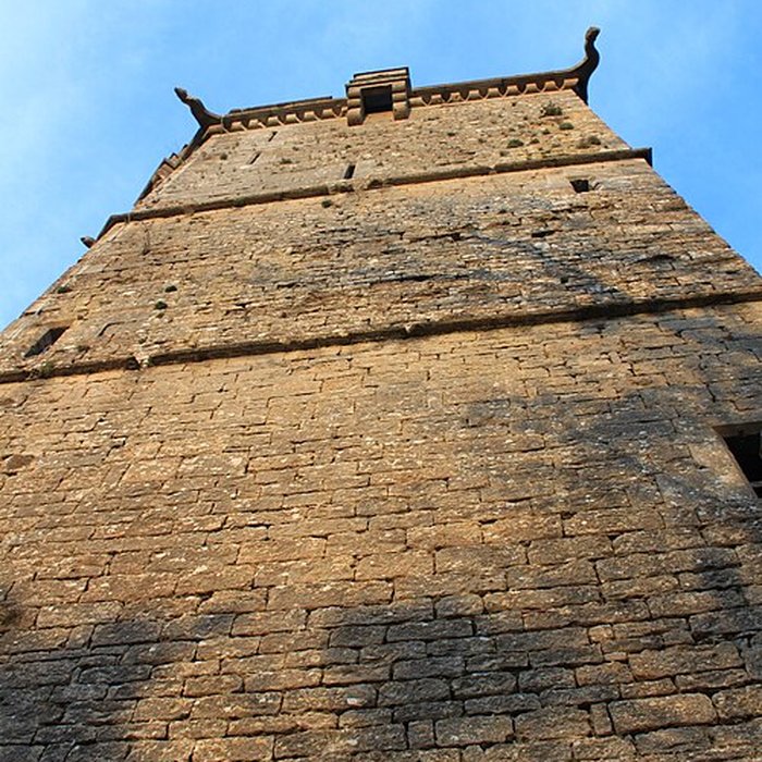 Photo de Château de Montbard