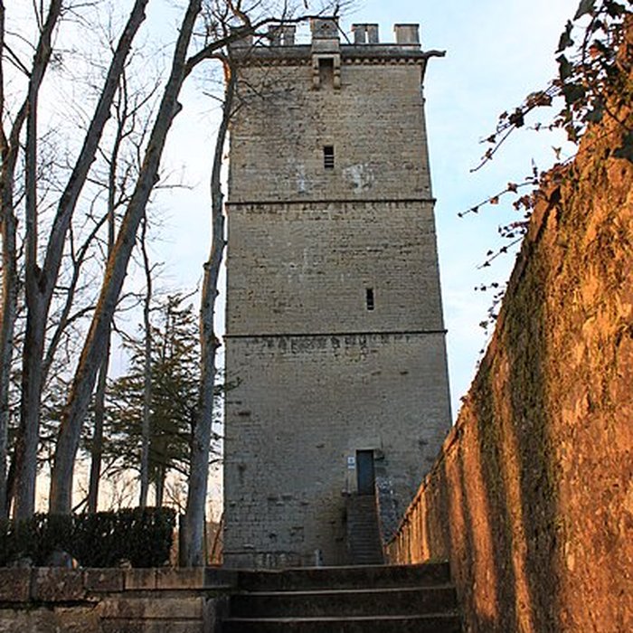 Photo de Château de Montbard