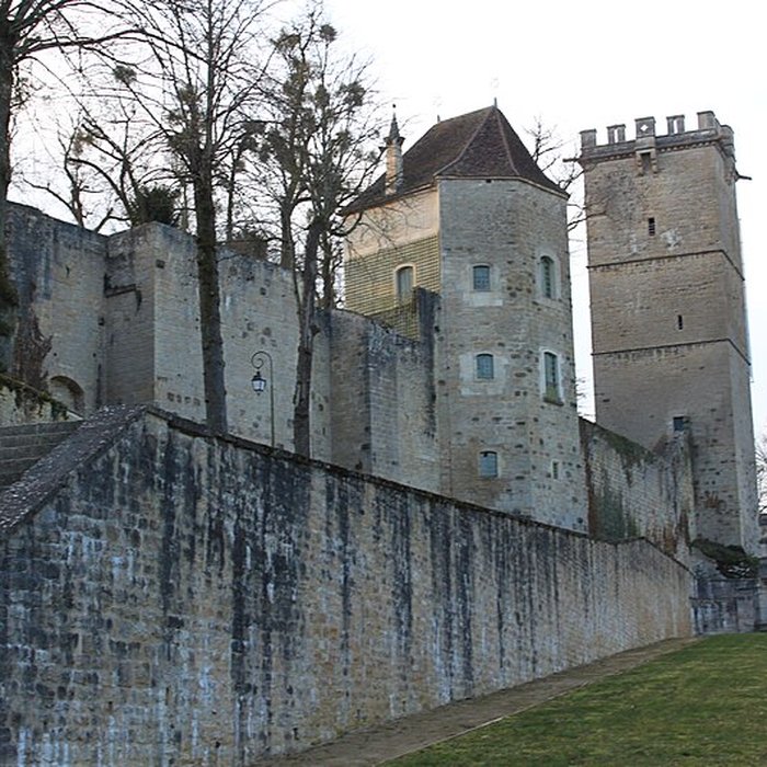Photo de Château de Montbard