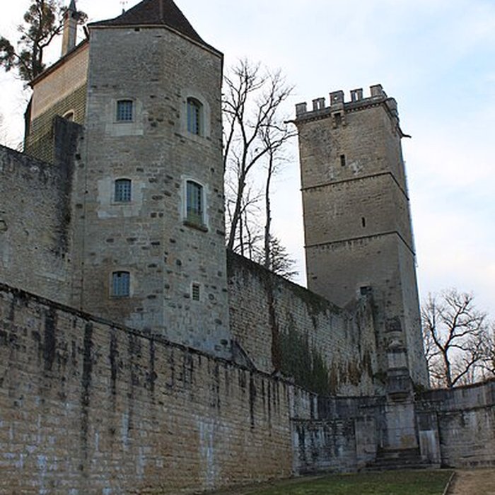 Photo de Château de Montbard