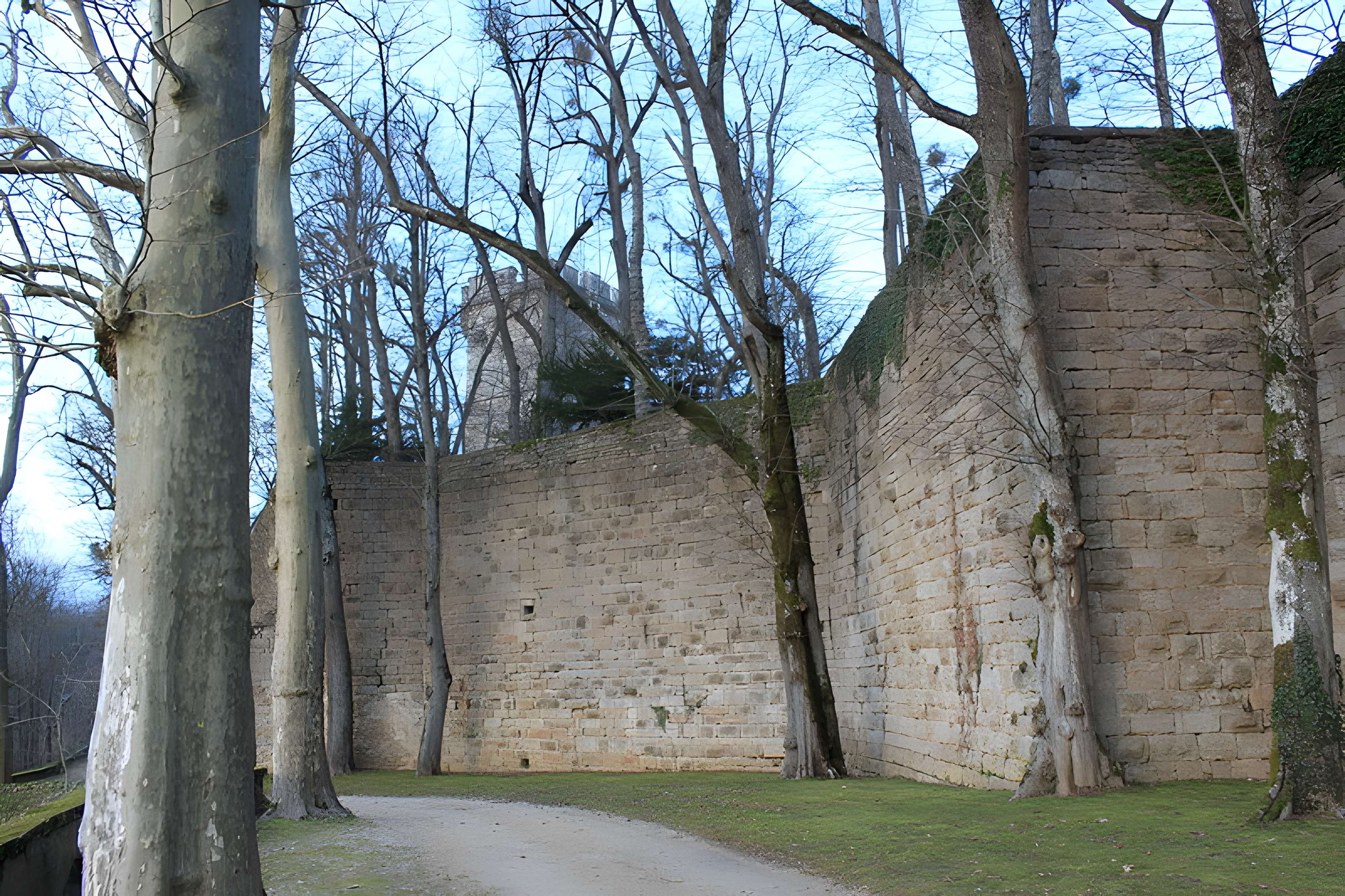 Château de Montbard