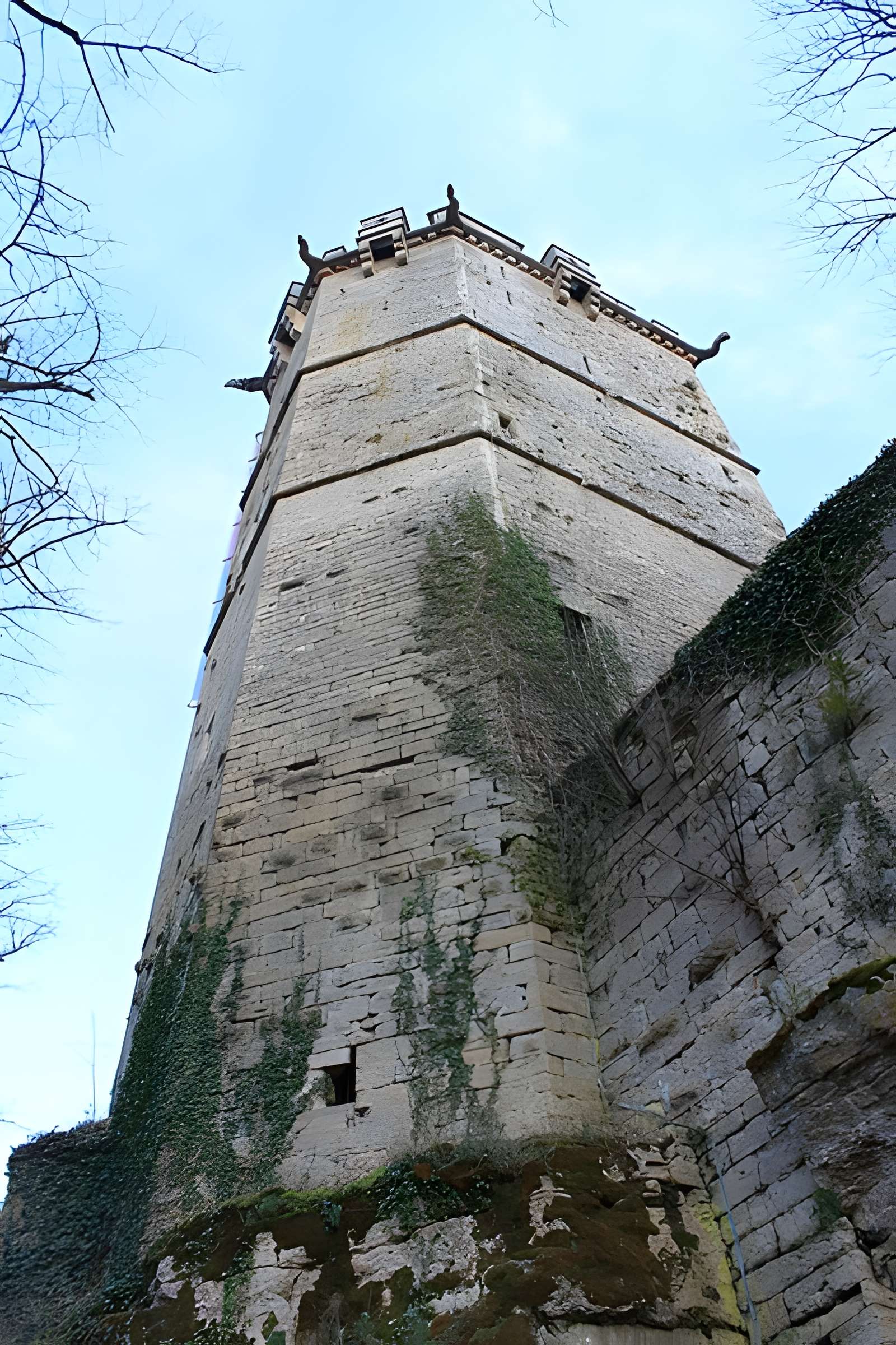 Château de Montbard