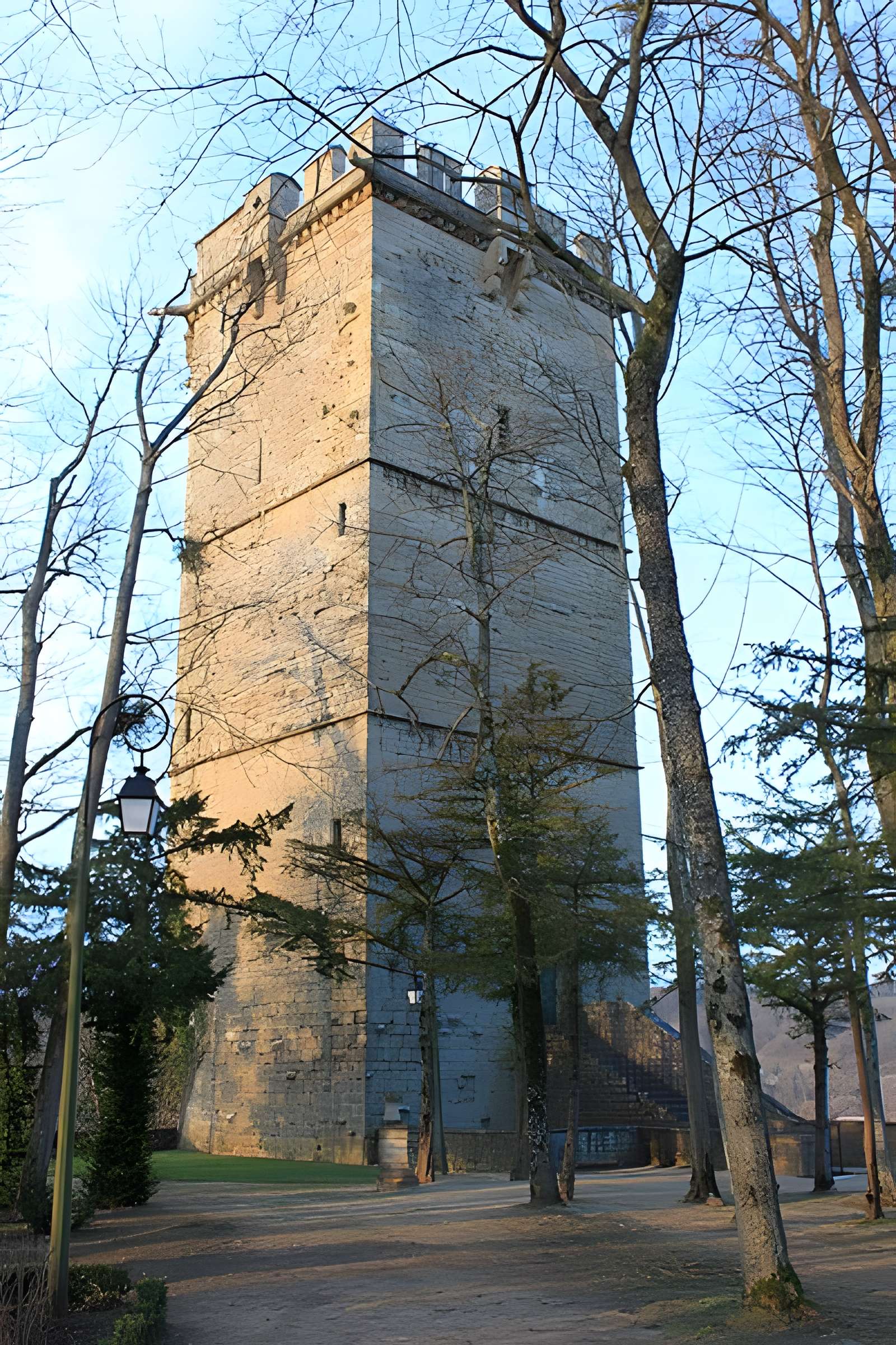 Château de Montbard