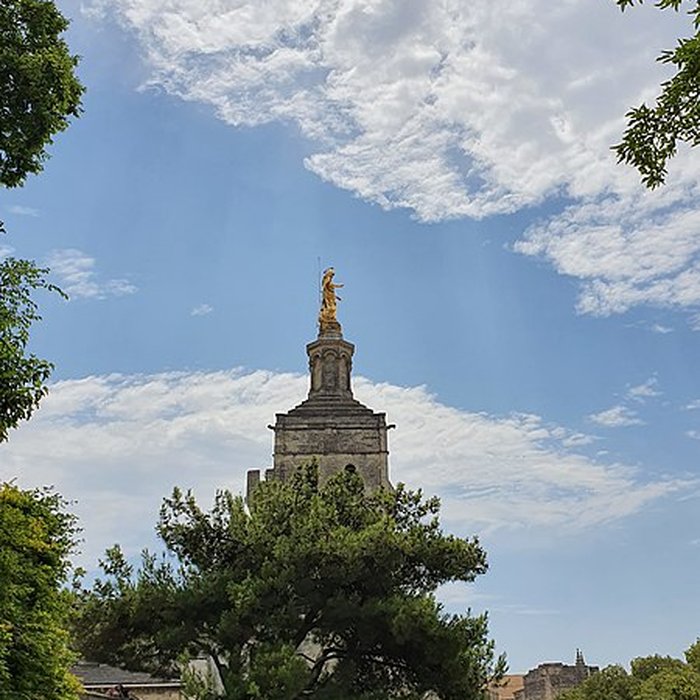 Photo de Cathédrale Notre-Dame des Doms dAvignon 