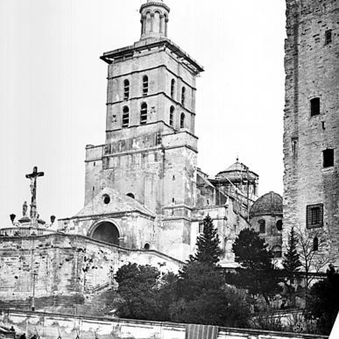 Photo de Cathédrale Notre-Dame des Doms dAvignon 
