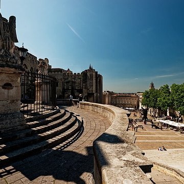 Cathédrale Notre-Dame des Doms dAvignon 