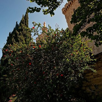 Cathédrale Notre-Dame des Doms dAvignon 