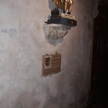 Cathédrale Notre-Dame des Doms dAvignon 