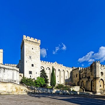 Cathédrale Notre-Dame des Doms dAvignon 