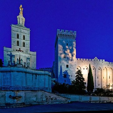 Cathédrale Notre-Dame des Doms dAvignon 