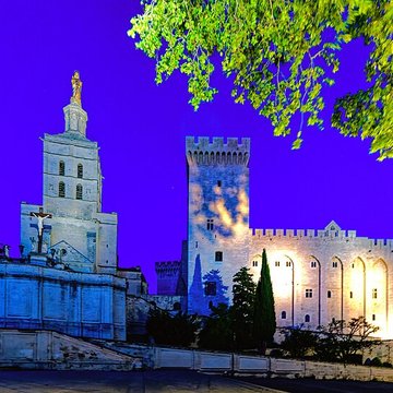 Cathédrale Notre-Dame des Doms dAvignon 