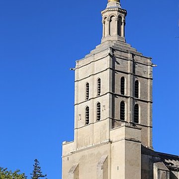 Cathédrale Notre-Dame des Doms dAvignon 