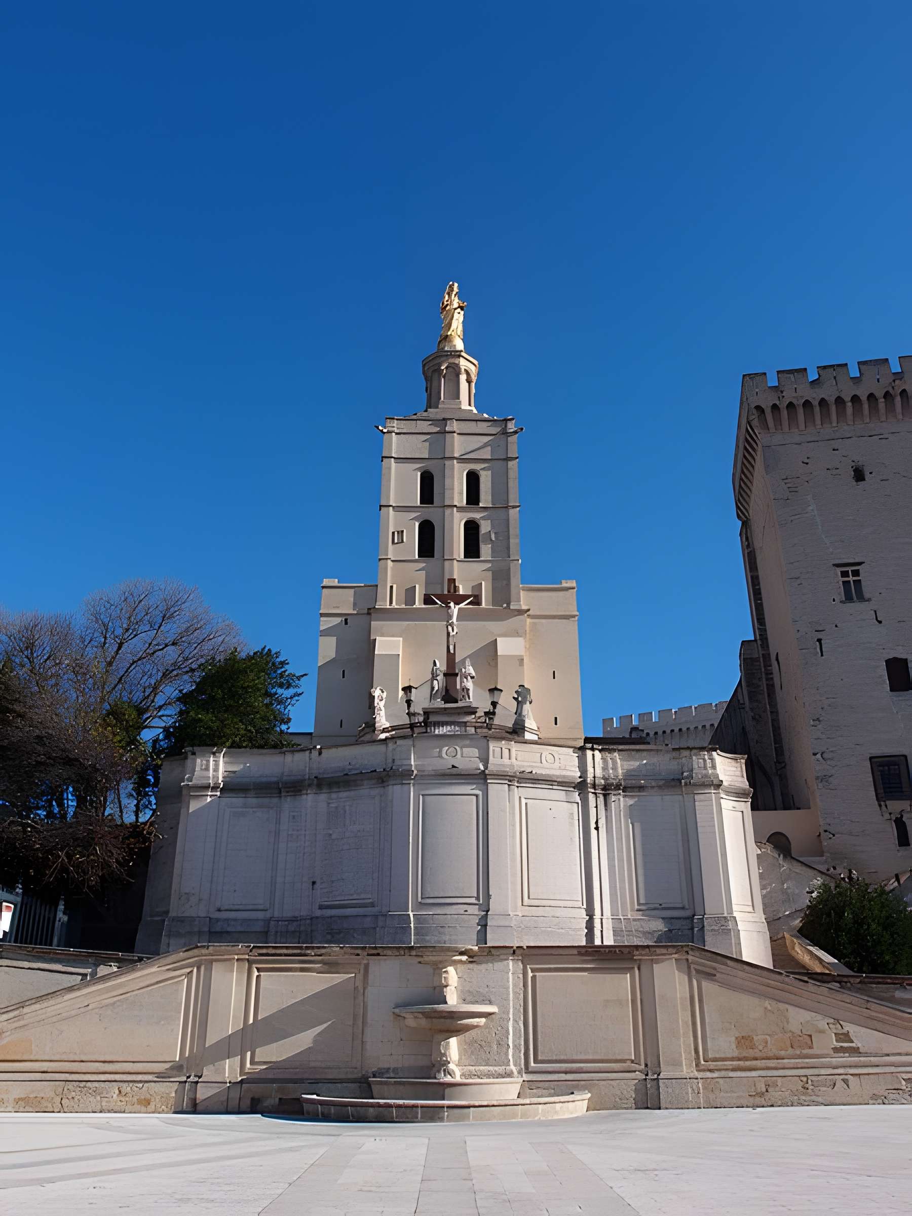 Cathédrale Notre-Dame des Doms d'Avignon 