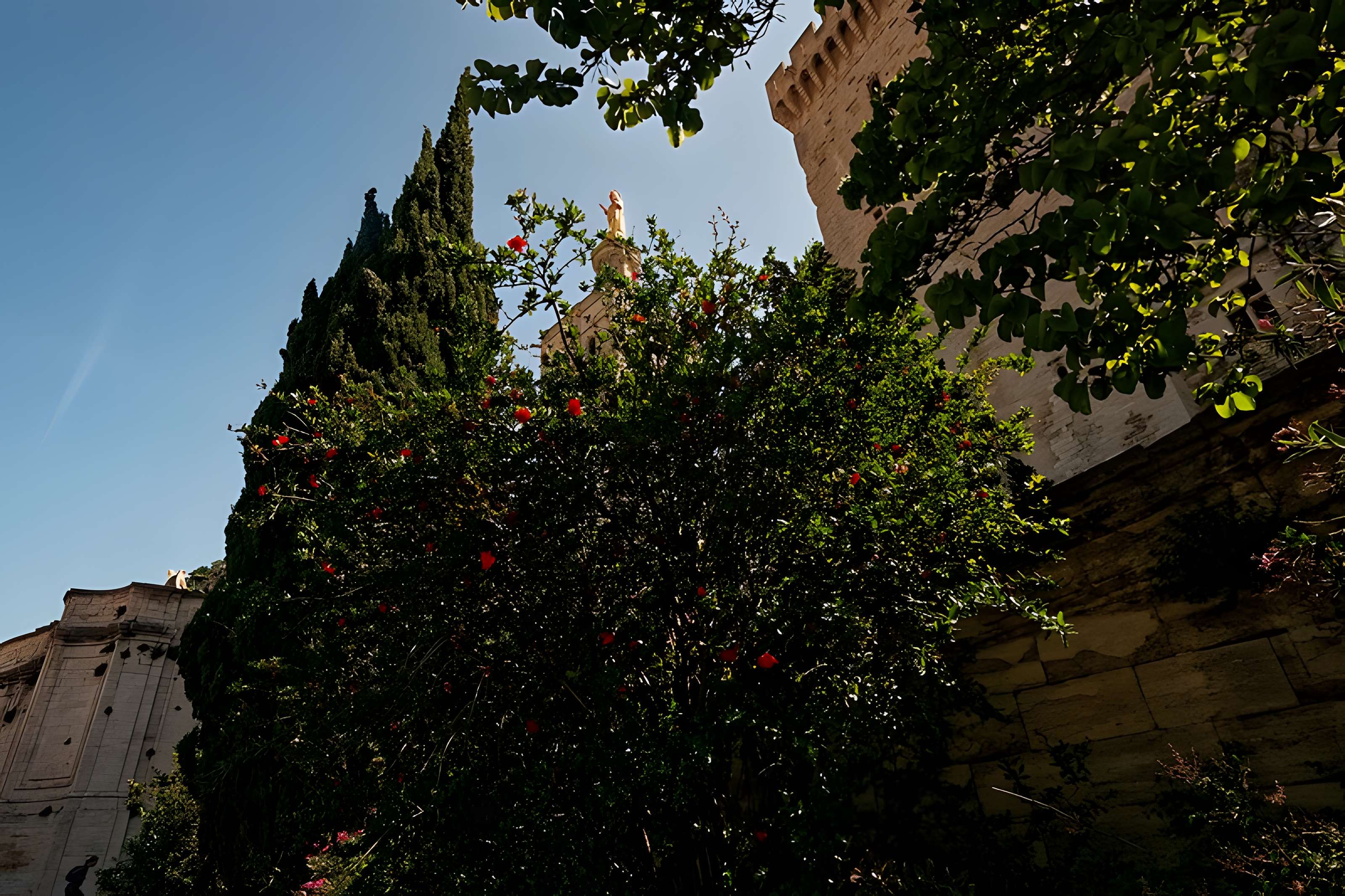 Cathédrale Notre-Dame des Doms d'Avignon 