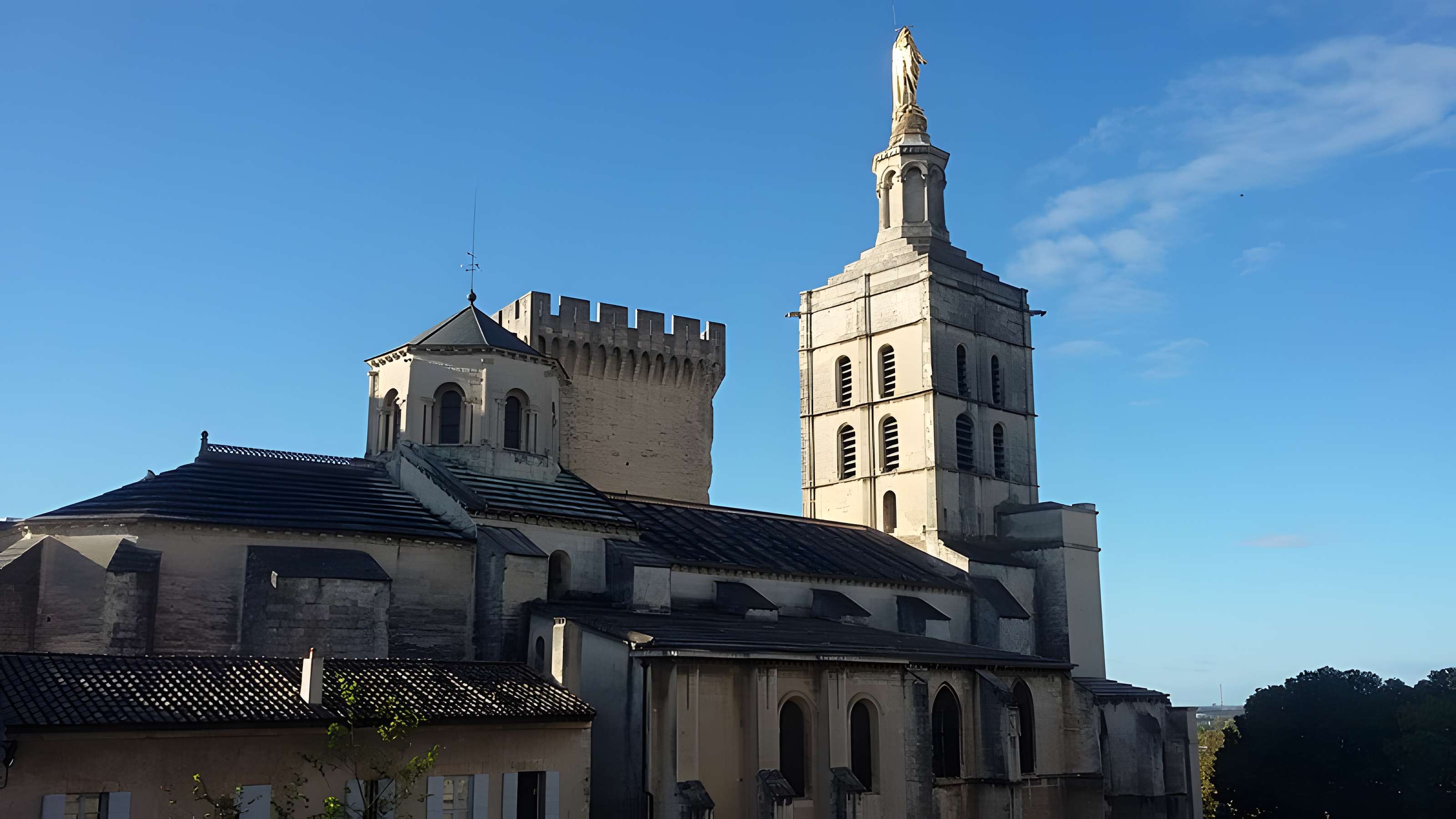 Cathédrale Notre-Dame des Doms d'Avignon 