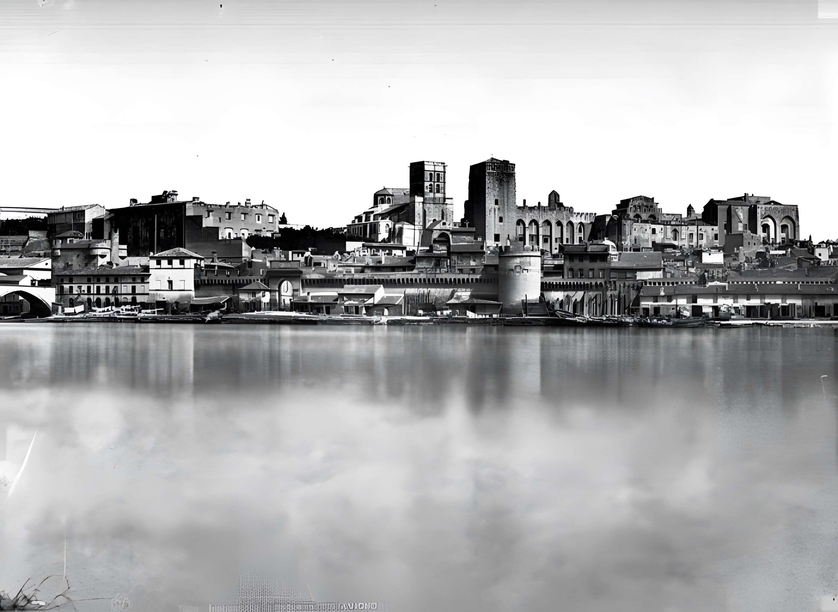 Cathédrale Notre-Dame des Doms d'Avignon 