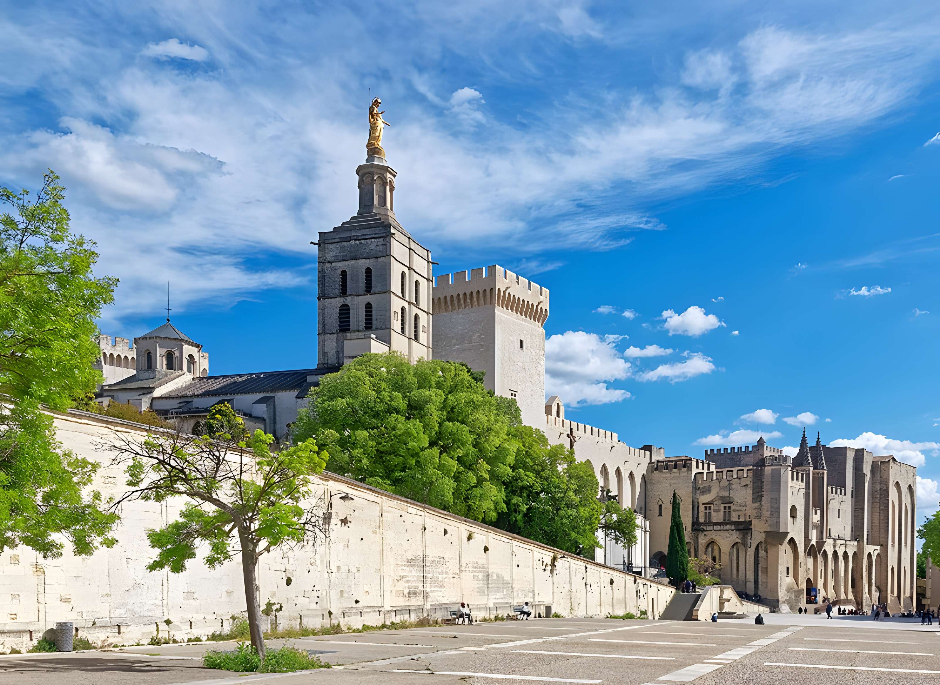 Cathédrale Notre-Dame des Doms d'Avignon 