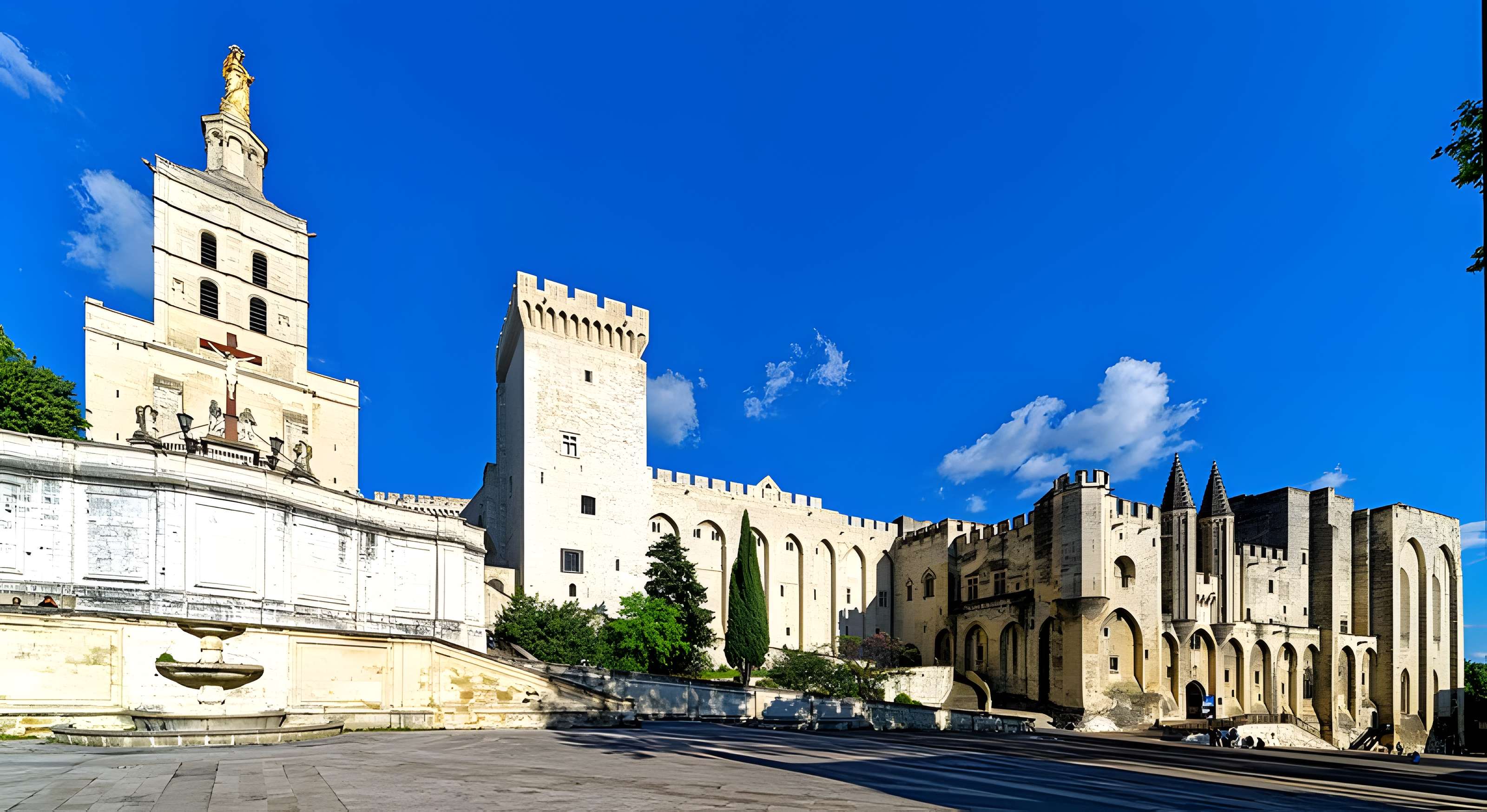 Cathédrale Notre-Dame des Doms d'Avignon 