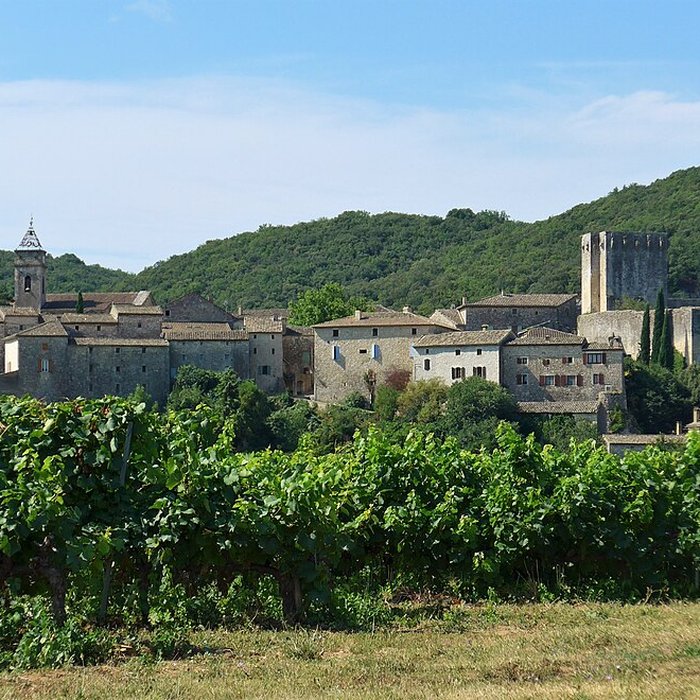 Photo de Château de Montclus