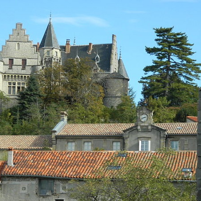 Photo de Château de Montdardier