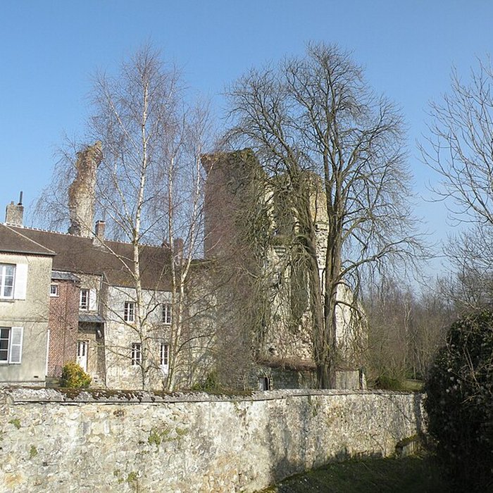 Photo de Château de Montépilloy
