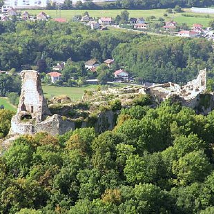 Photo de Château de Montfaucon