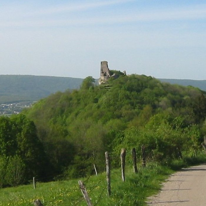 Photo de Château de Montfaucon