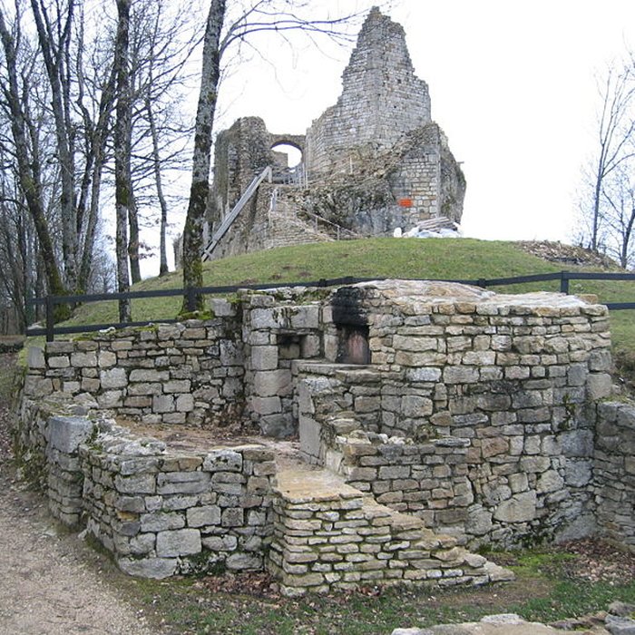 Photo de Château de Montfaucon