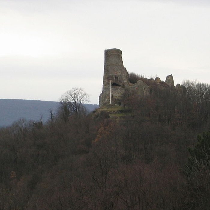 Photo de Château de Montfaucon