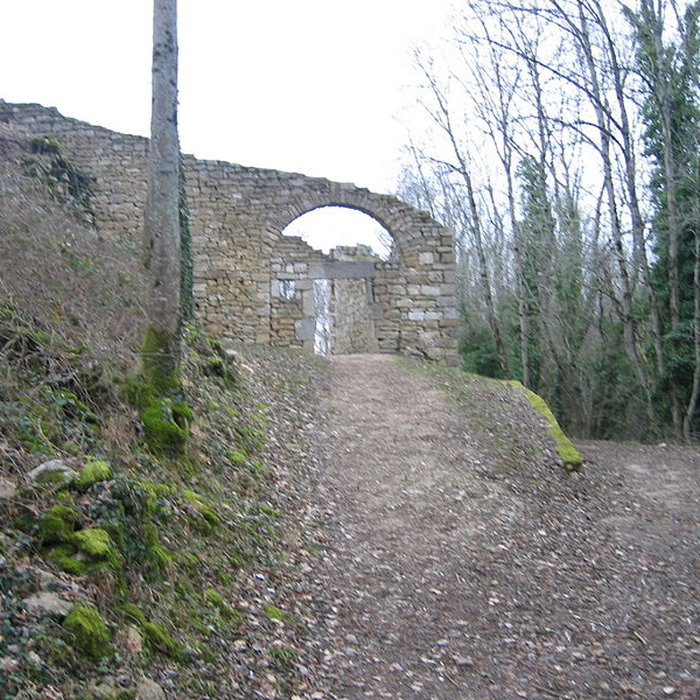 Photo de Château de Montfaucon