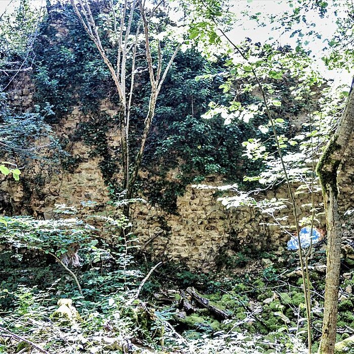 Photo de Château de Montfaucon