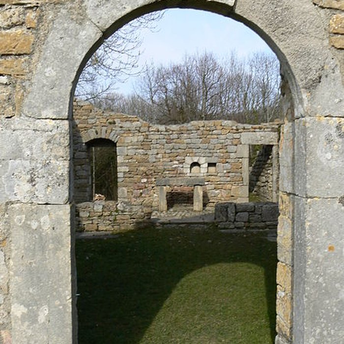 Photo de Château de Montfaucon