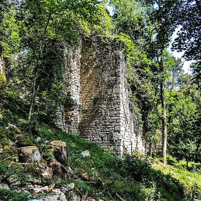 Photo de Château de Montfaucon