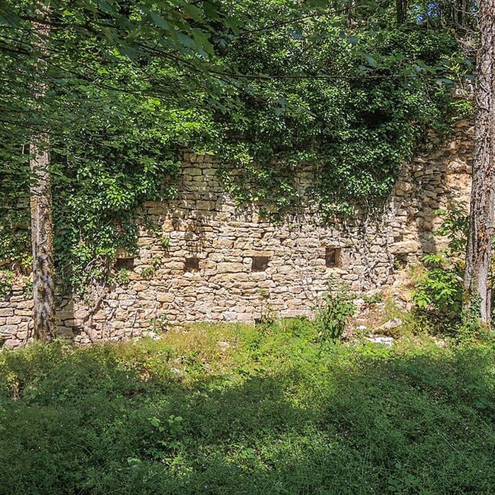 Photo de Château de Montfaucon