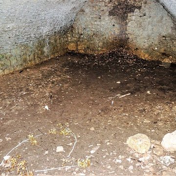 Château de Montfaucon