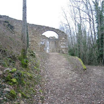 Château de Montfaucon