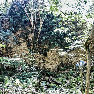 Château de Montfaucon