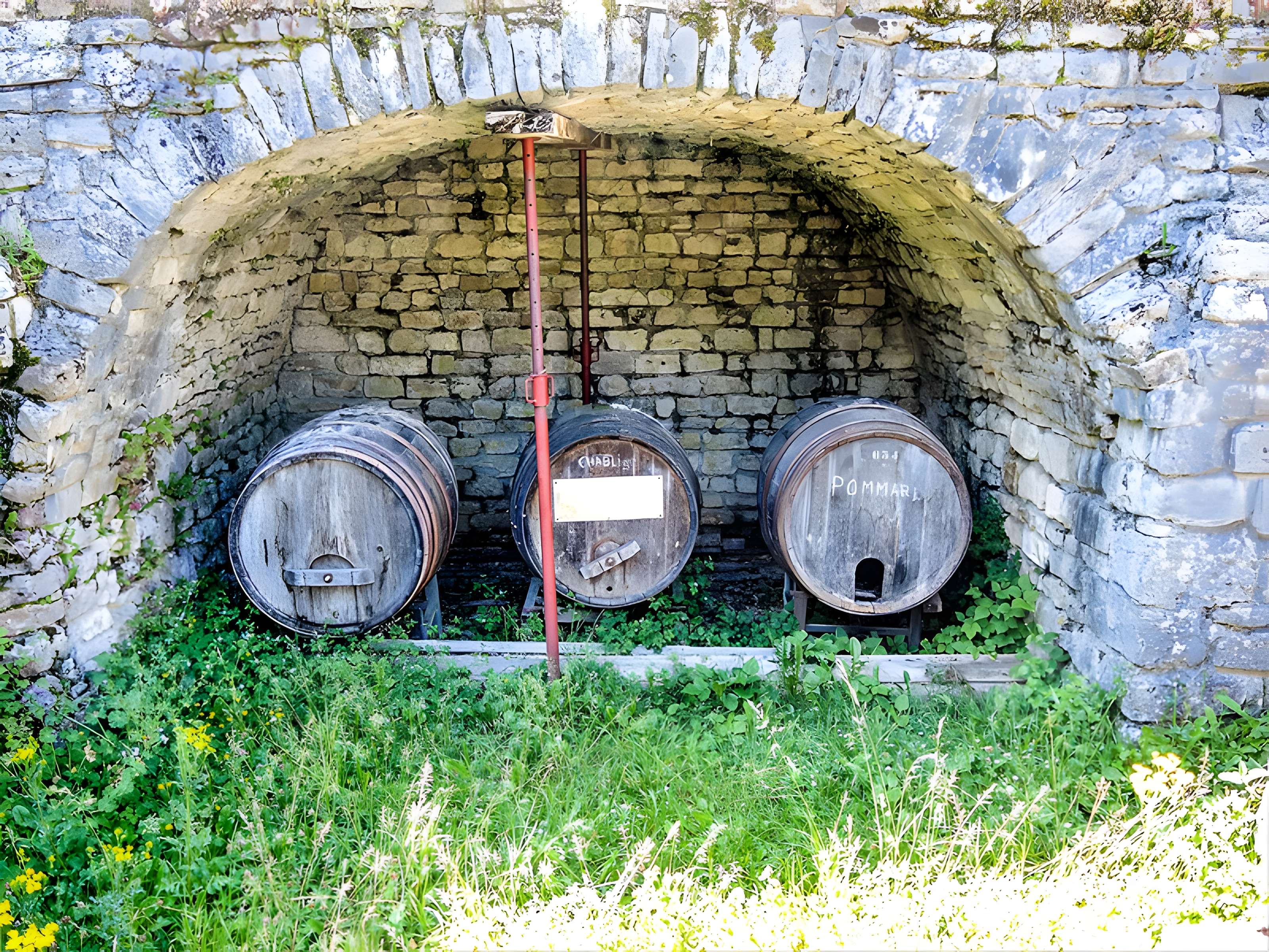 Château de Montfaucon