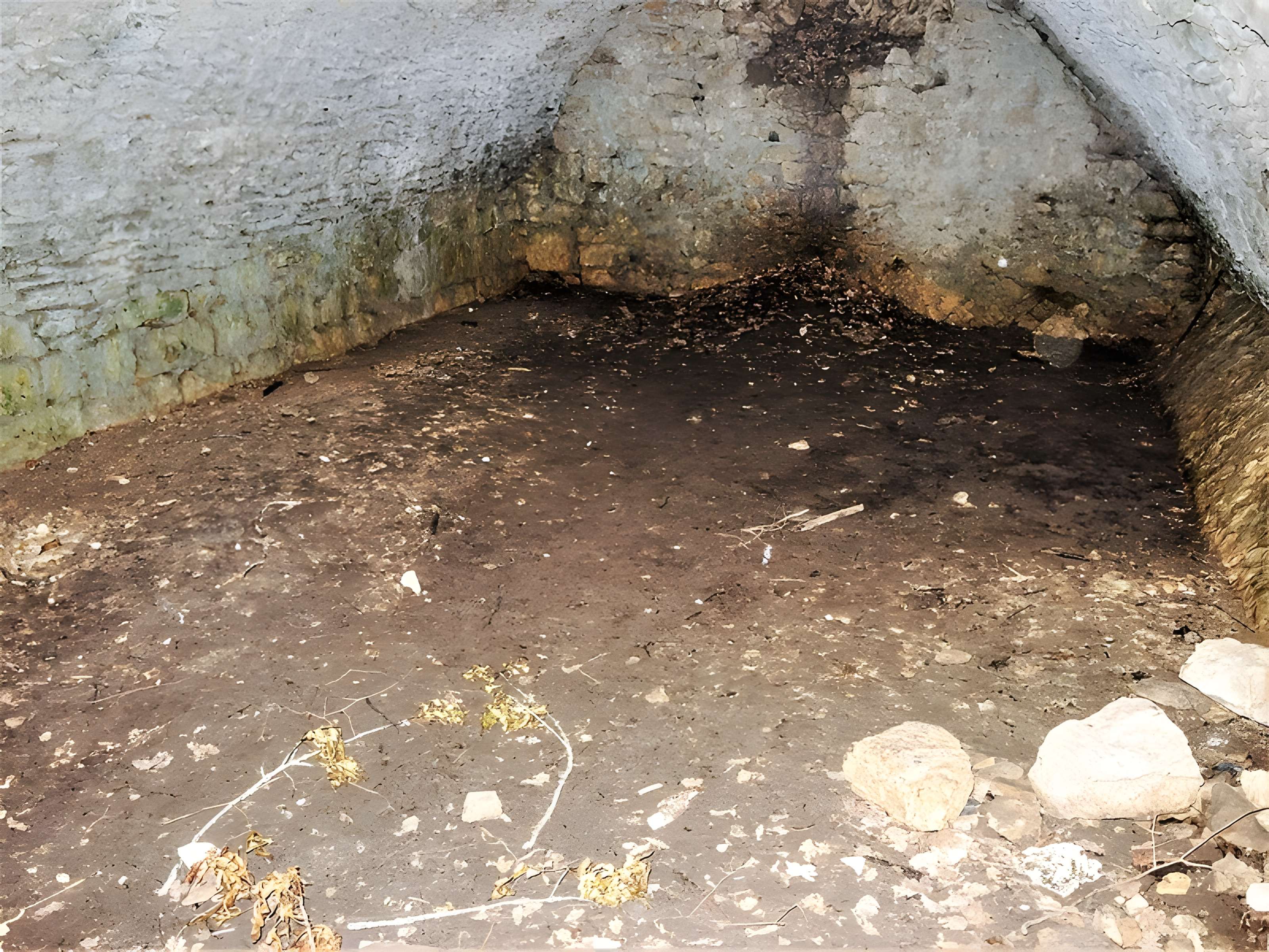 Château de Montfaucon