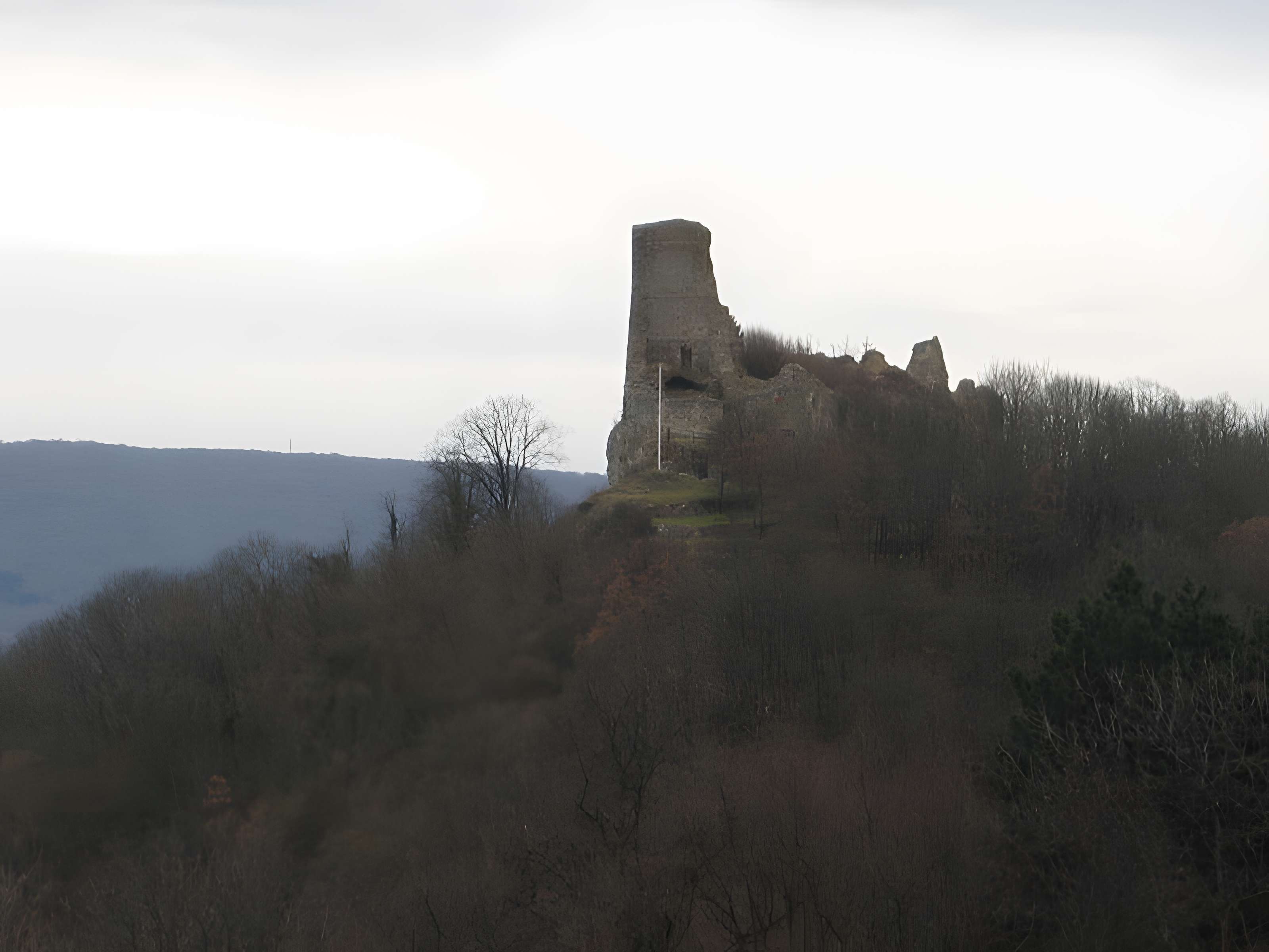 Château de Montfaucon