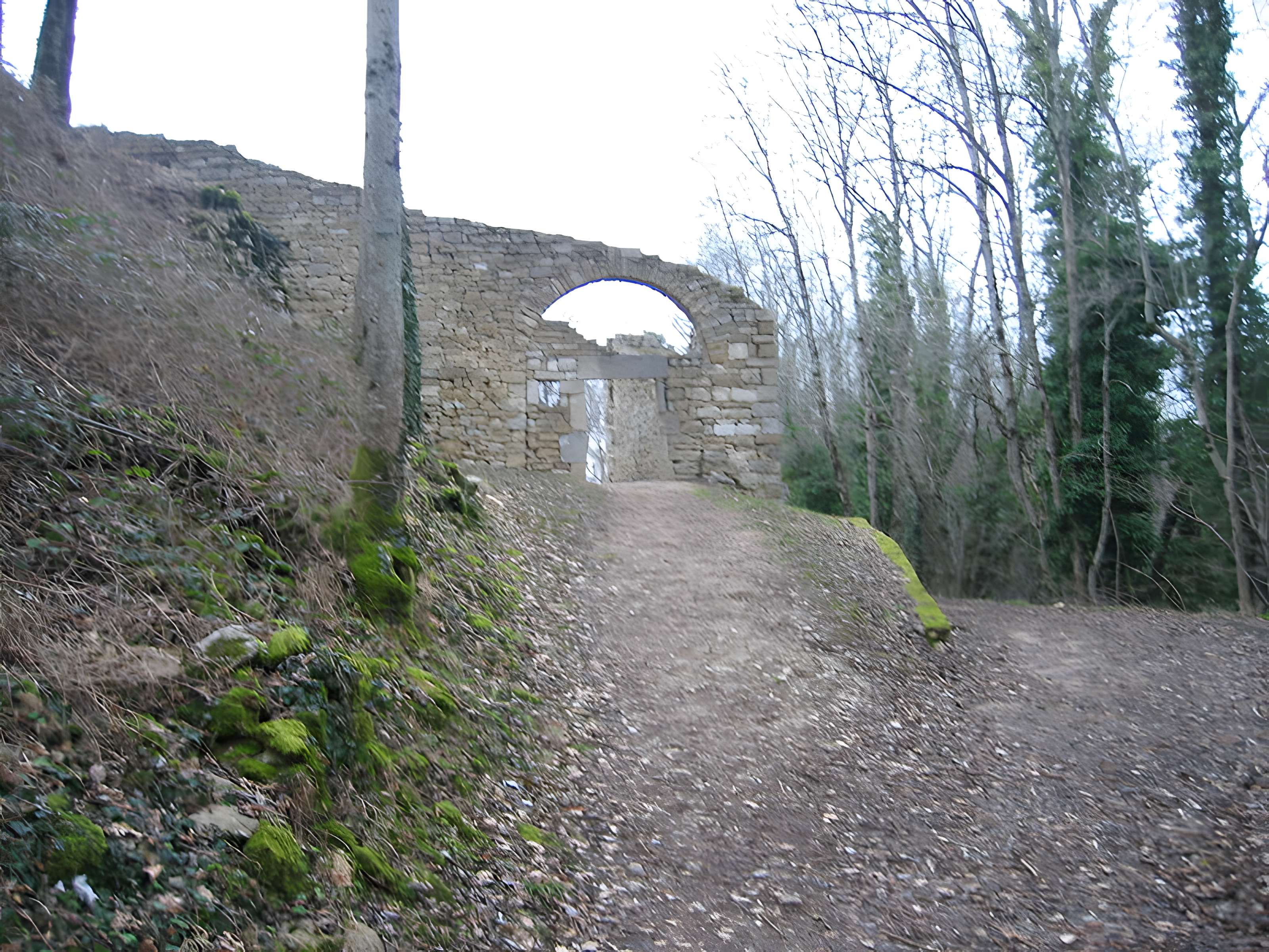 Château de Montfaucon