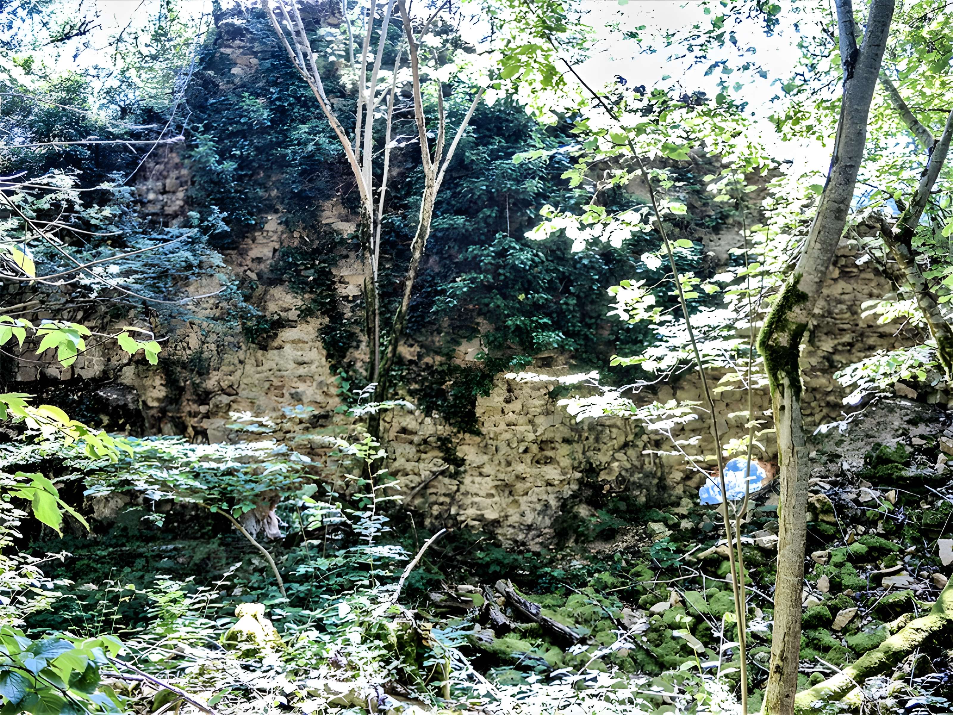 Château de Montfaucon